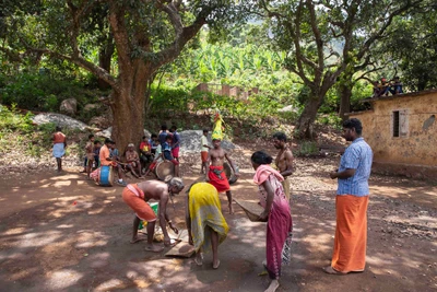 Attapadi, Kerala, 2017