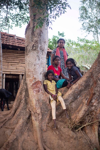 Attapadi, Kerala, 2017