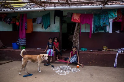 Attapadi, Kerala, Tamil people, 2017